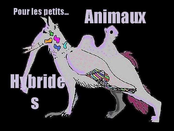 Pour les petits… Hybride s Animaux 