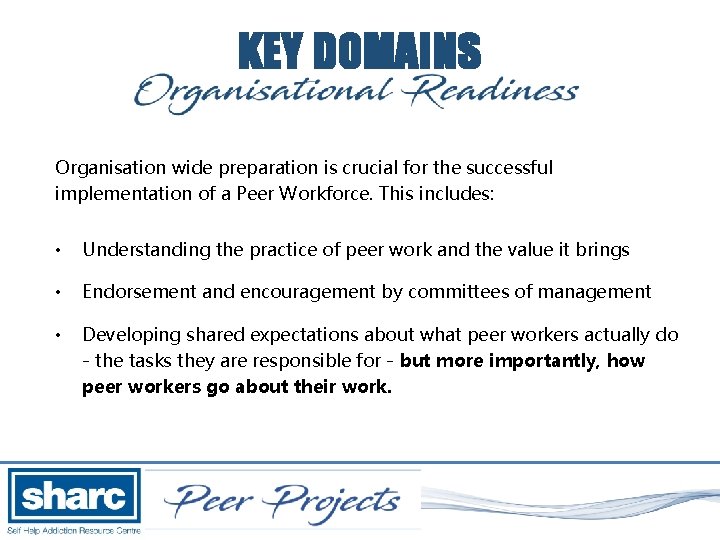 KEY DOMAINS Organisation wide preparation is crucial for the successful implementation of a Peer
