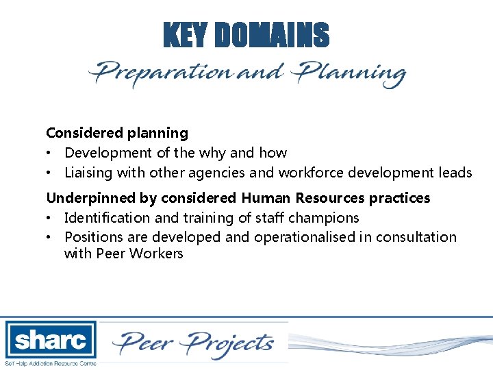 KEY DOMAINS Considered planning • Development of the why and how • Liaising with