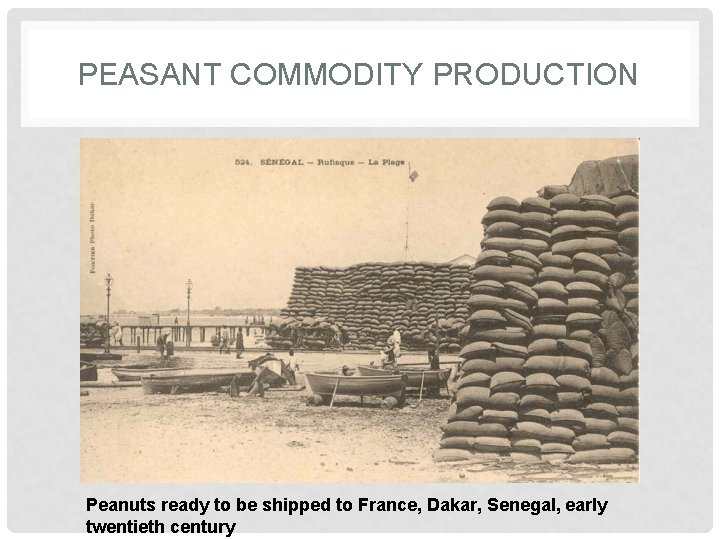 PEASANT COMMODITY PRODUCTION Peanuts ready to be shipped to France, Dakar, Senegal, early twentieth