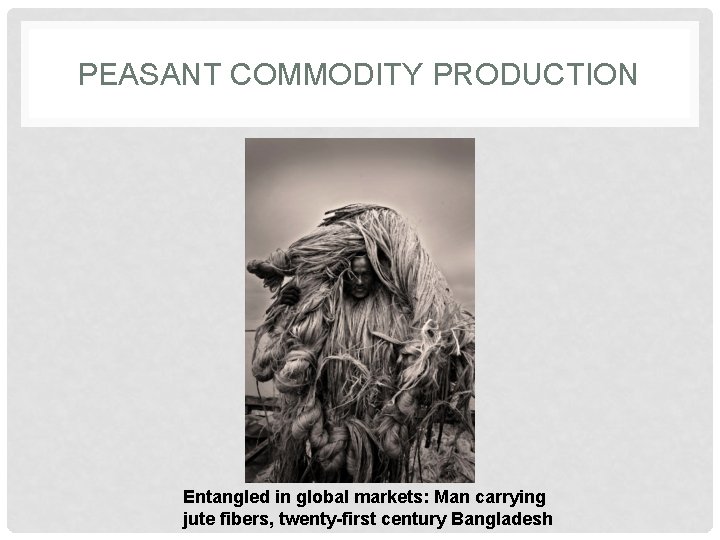 PEASANT COMMODITY PRODUCTION Entangled in global markets: Man carrying jute fibers, twenty-first century Bangladesh