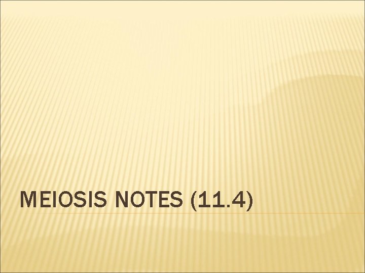 MEIOSIS NOTES (11. 4) 