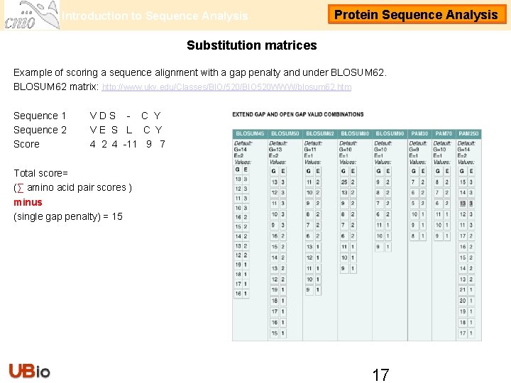 Introduction to Sequence Analysis Protein Sequence Analysis Substitution matrices Example of scoring a sequence