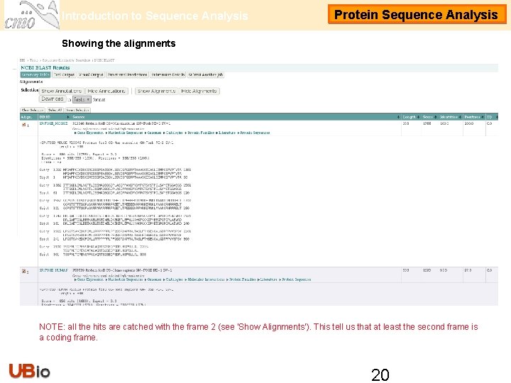 Introduction to Sequence Analysis Protein Sequence Analysis Showing the alignments NOTE: all the hits