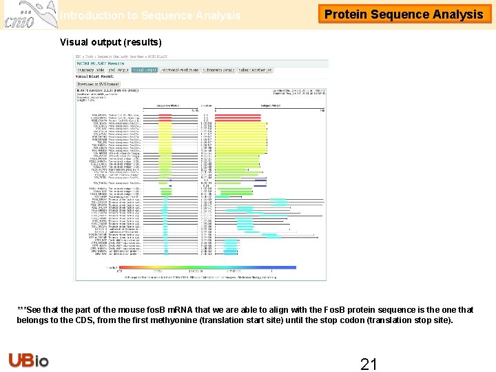 Introduction to Sequence Analysis Protein Sequence Analysis Visual output (results) ***See that the part