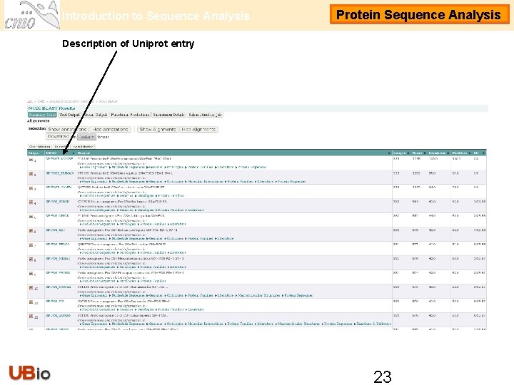 Introduction to Sequence Analysis Protein Sequence Analysis Description of Uniprot entry 23 