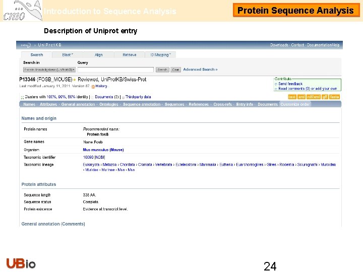 Introduction to Sequence Analysis Protein Sequence Analysis Description of Uniprot entry 24 