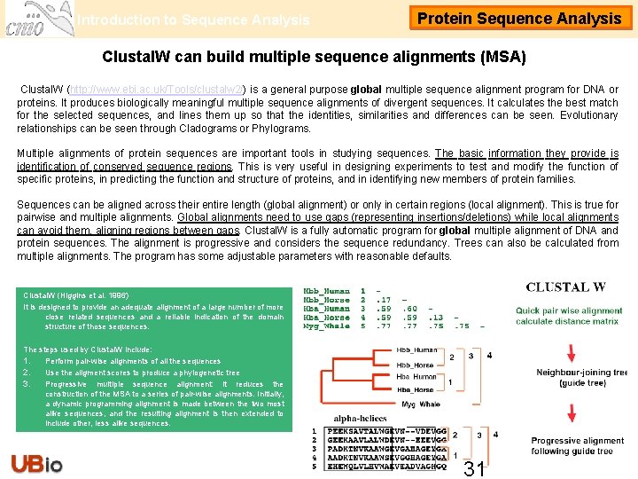 Introduction to Sequence Analysis Protein Sequence Analysis Clustal. W can build multiple sequence alignments