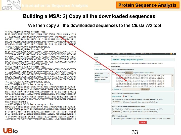 Introduction to Sequence Analysis Protein Sequence Analysis Building a MSA: 2) Copy all the