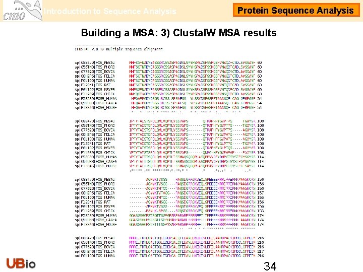 Introduction to Sequence Analysis Protein Sequence Analysis Building a MSA: 3) Clustal. W MSA