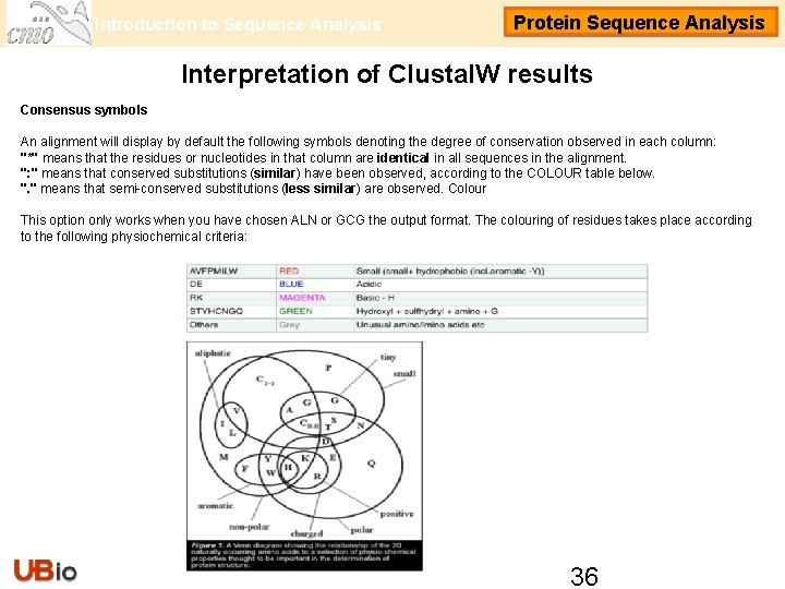 Introduction to Sequence Analysis Protein Sequence Analysis Interpretation of Clustal. W results Consensus symbols