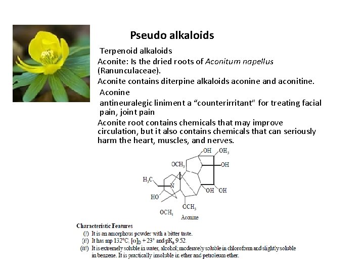 Pseudo alkaloids Terpenoid alkaloids Aconite: Is the dried roots of Aconitum napellus (Ranunculaceae). Aconite