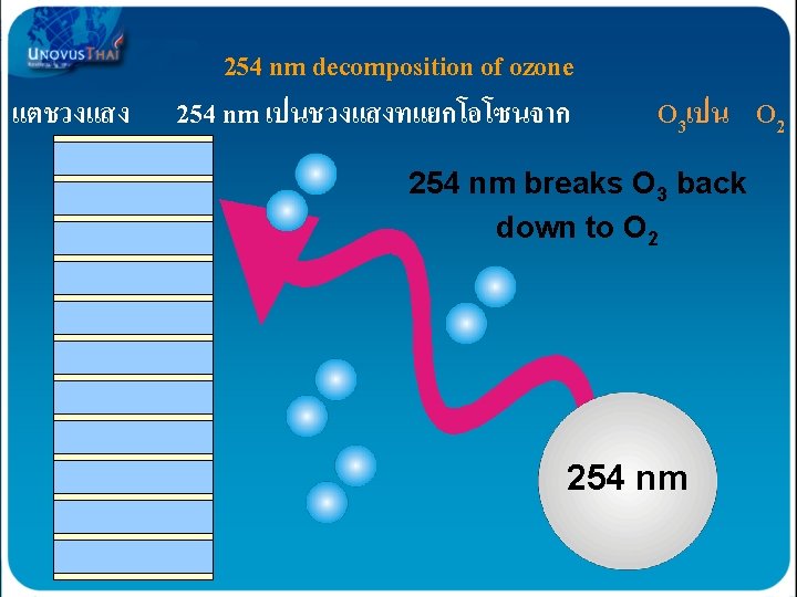 แตชวงแสง 254 nm decomposition of ozone 254 nm เปนชวงแสงทแยกโอโซนจาก O 3เปน O 2 254