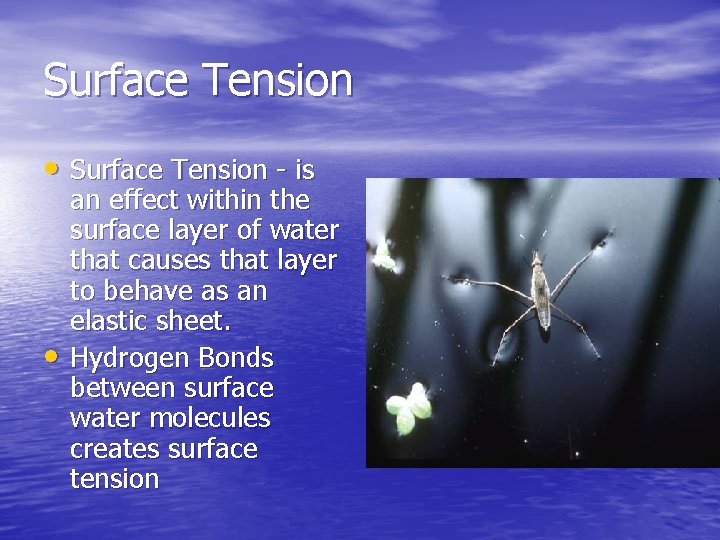 Surface Tension • Surface Tension - is • an effect within the surface layer