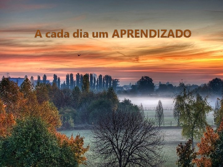 A cada dia um APRENDIZADO 