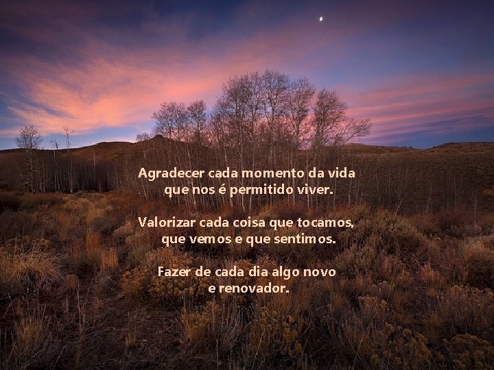 Agradecer cada momento da vida que nos é permitido viver. Valorizar cada coisa que