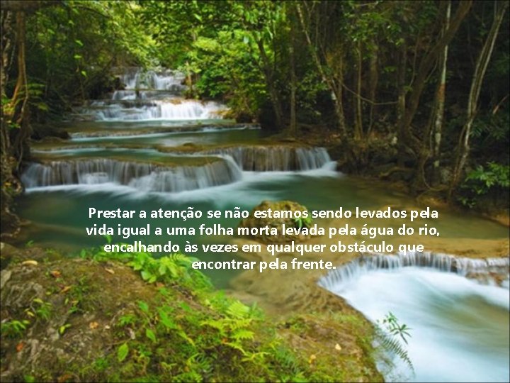 Prestar a atenção se não estamos sendo levados pela vida igual a uma folha