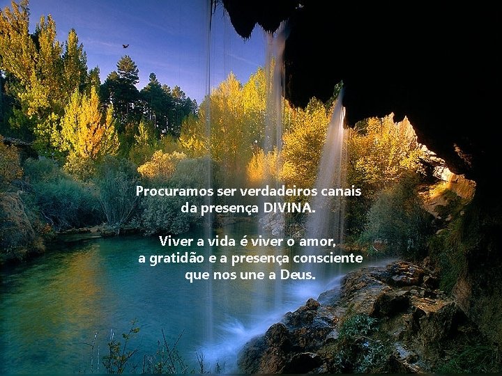 Procuramos ser verdadeiros canais da presença DIVINA. Viver a vida é viver o amor,