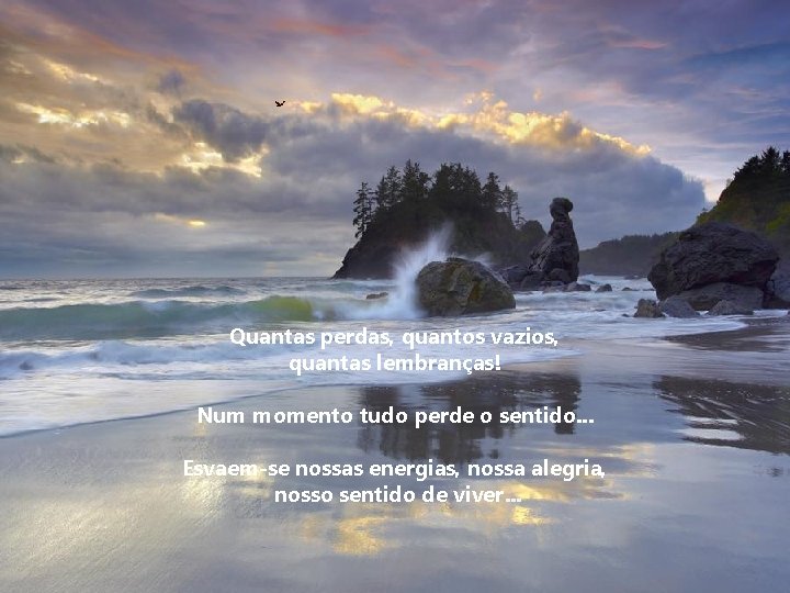 Quantas perdas, quantos vazios, quantas lembranças! Num momento tudo perde o sentido. . .