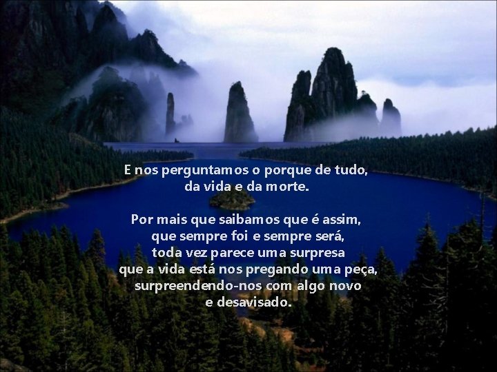 E nos perguntamos o porque de tudo, da vida e da morte. Por mais