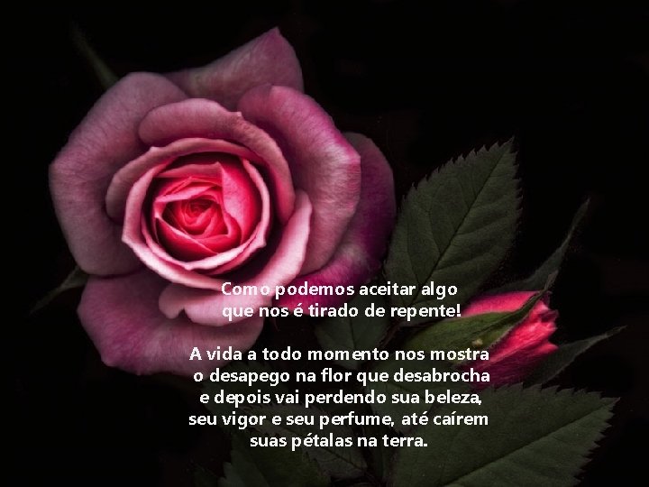 Como podemos aceitar algo que nos é tirado de repente! A vida a todo