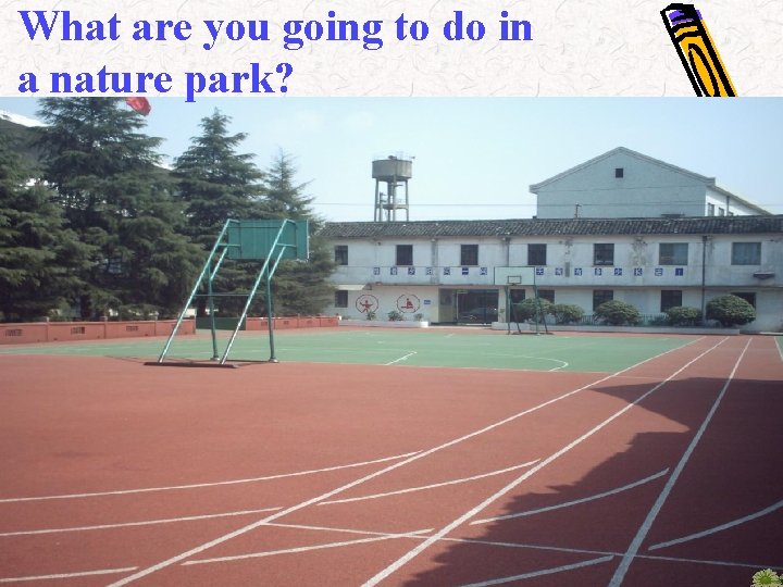 What are you going to do in a nature park? 