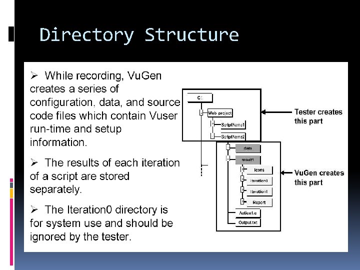 Directory Structure 