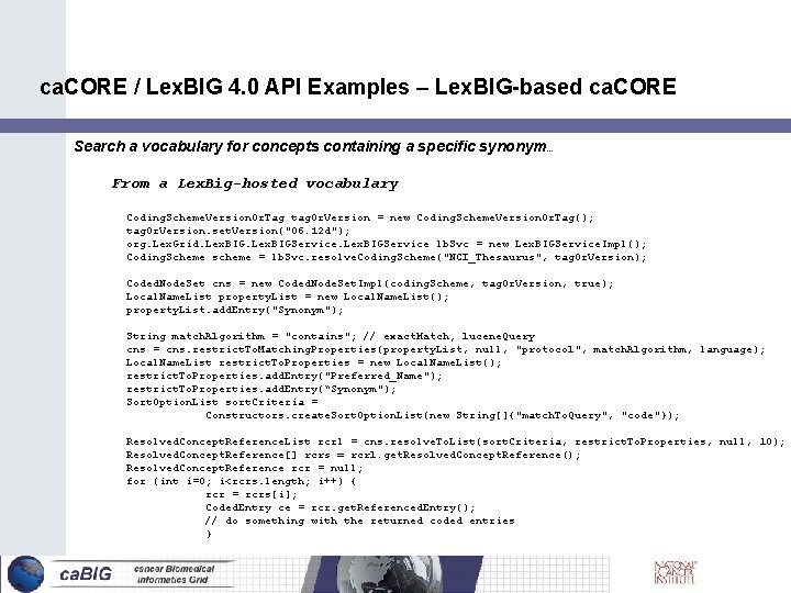 ca. CORE / Lex. BIG 4. 0 API Examples – Lex. BIG-based ca. CORE
