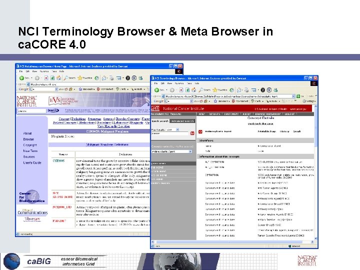 NCI Terminology Browser & Meta Browser in ca. CORE 4. 0 