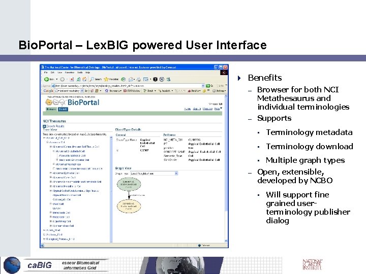 Bio. Portal – Lex. BIG powered User Interface Benefits – – Browser for both