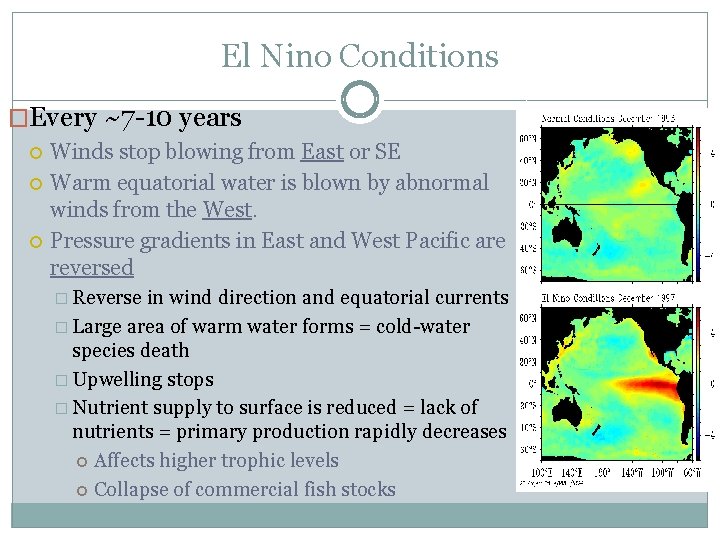 El Nino Conditions �Every ~7 -10 years Winds stop blowing from East or SE