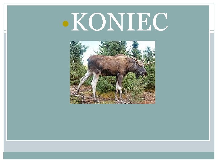  • KONIEC 