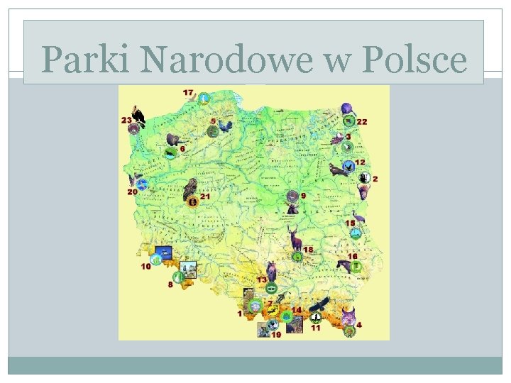 Parki Narodowe w Polsce 