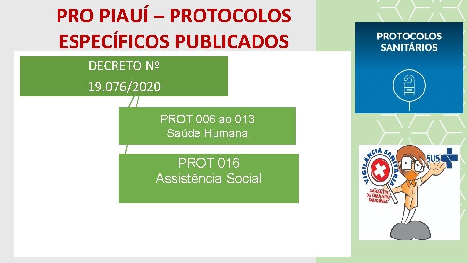PRO PIAUÍ – PROTOCOLOS ESPECÍFICOS PUBLICADOS DECRETO Nº 19. 076/2020 PROT 006 ao 013