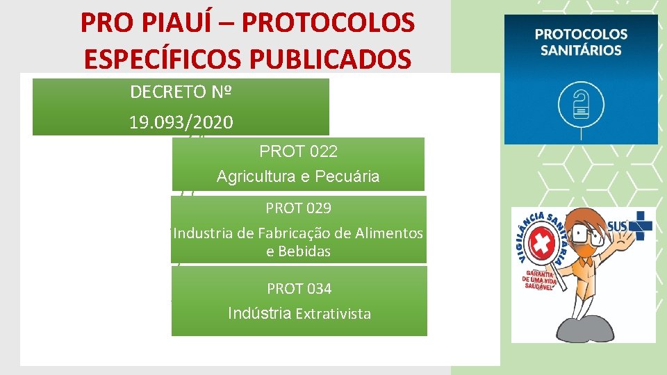 PRO PIAUÍ – PROTOCOLOS ESPECÍFICOS PUBLICADOS DECRETO Nº 19. 093/2020 PROT 022 Agricultura e