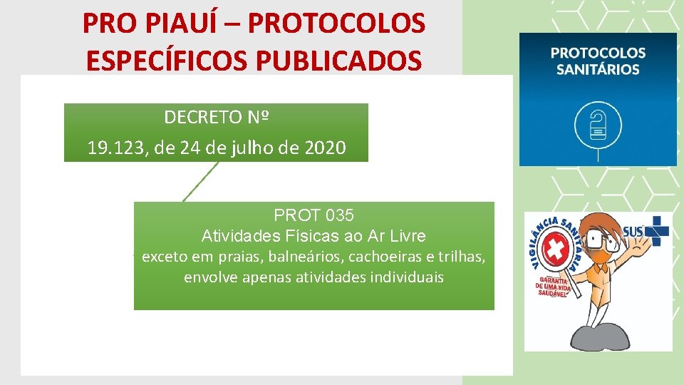 PRO PIAUÍ – PROTOCOLOS ESPECÍFICOS PUBLICADOS DECRETO Nº 19. 123, de 24 de julho