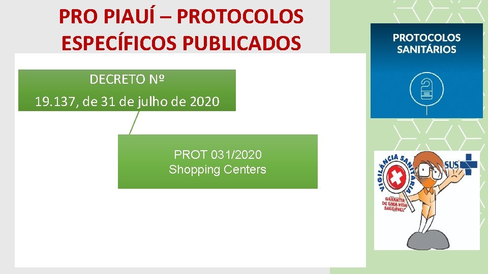 PRO PIAUÍ – PROTOCOLOS ESPECÍFICOS PUBLICADOS DECRETO Nº 19. 137, de 31 de julho