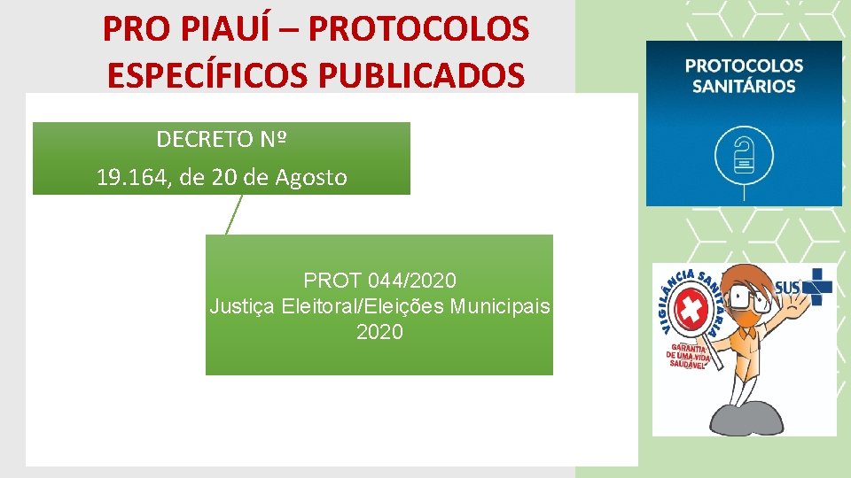 PRO PIAUÍ – PROTOCOLOS ESPECÍFICOS PUBLICADOS DECRETO Nº 19. 164, de 20 de Agosto