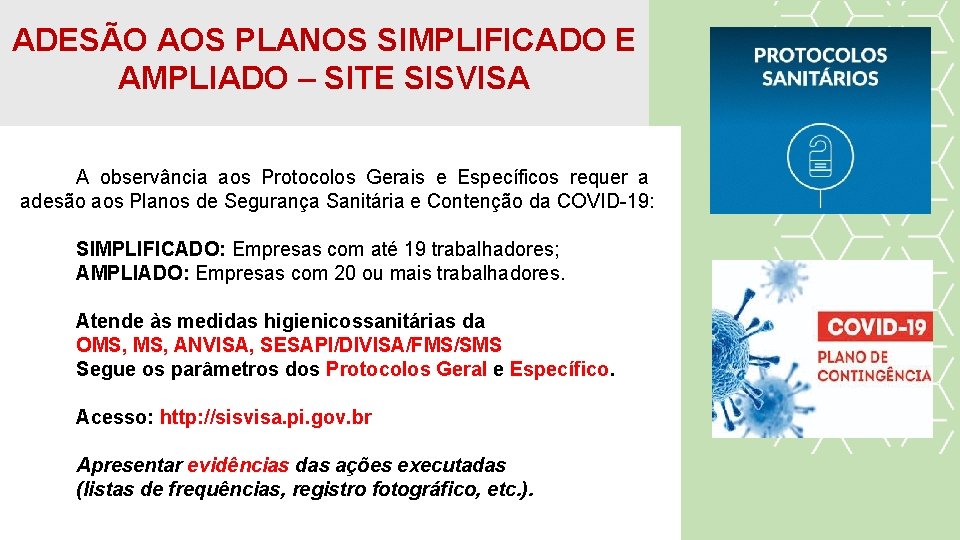 ADESÃO AOS PLANOS SIMPLIFICADO E AMPLIADO – SITE SISVISA A observância aos Protocolos Gerais