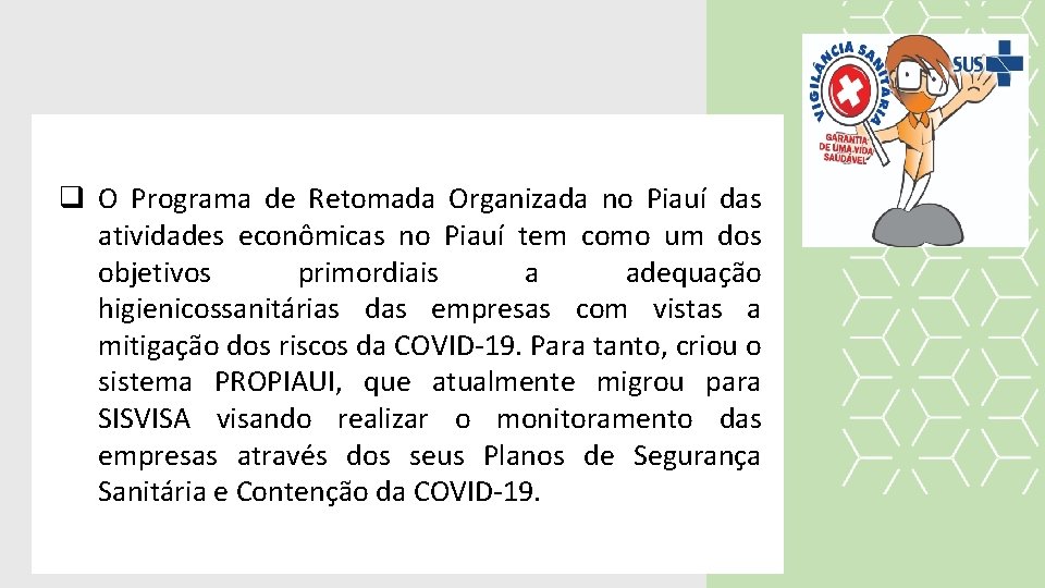 q O Programa de Retomada Organizada no Piauí das atividades econômicas no Piauí tem