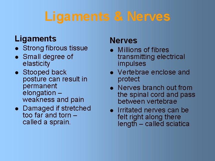 Ligaments & Nerves Ligaments l l Strong fibrous tissue Small degree of elasticity Stooped