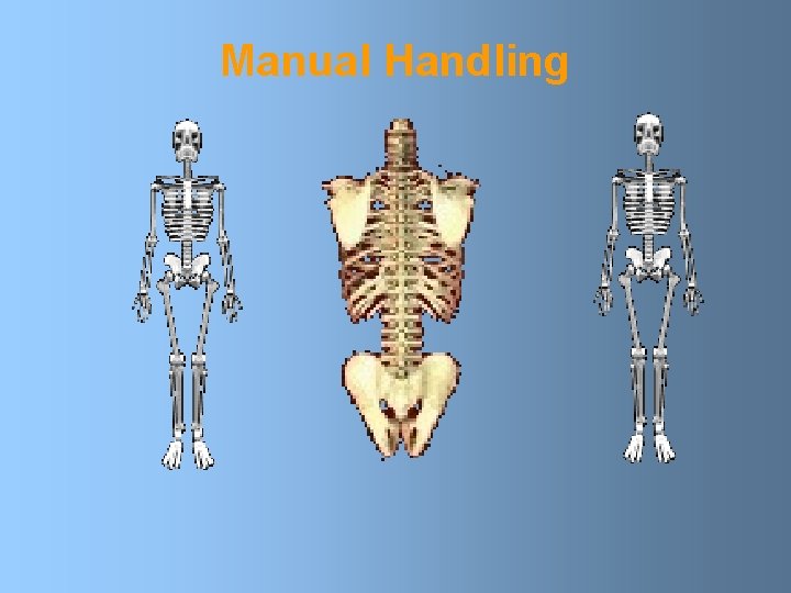 Manual Handling 