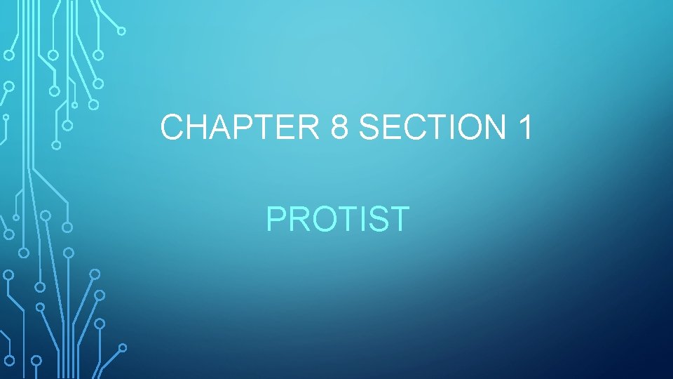 CHAPTER 8 SECTION 1 PROTIST 