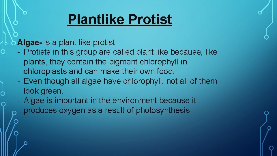 Plantlike Protist Algae- is a plant like protist. - Protists in this group are