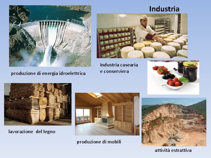 Industria produzione di energia idroelettrica Industria casearia e conserviera lavorazione del legno produzione di