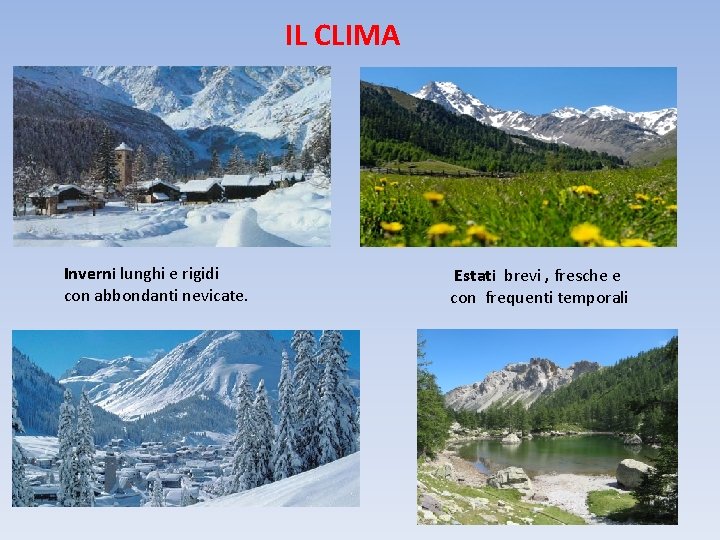 IL CLIMA Inverni lunghi e rigidi con abbondanti nevicate. Estati brevi , fresche e