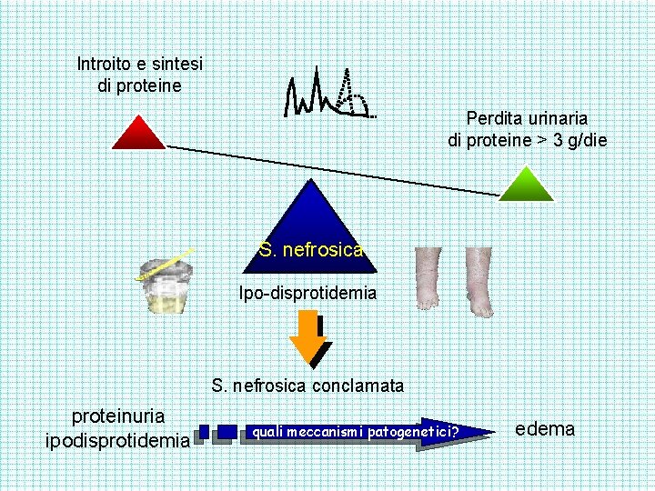 Introito e sintesi di proteine Perdita urinaria di proteine > 3 g/die S. nefrosica