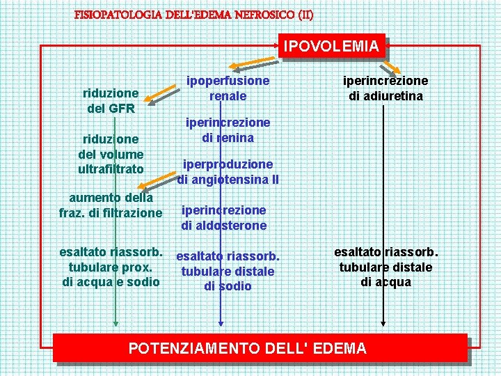 FISIOPATOLOGIA DELL'EDEMA NEFROSICO (II) IPOVOLEMIA riduzione del GFR riduzione del volume ultrafiltrato aumento della