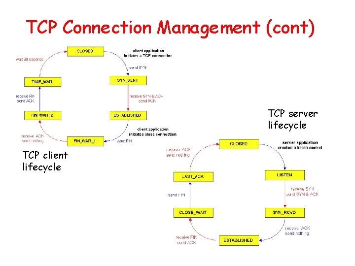 TCP Connection Management (cont) TCP server lifecycle TCP client lifecycle 