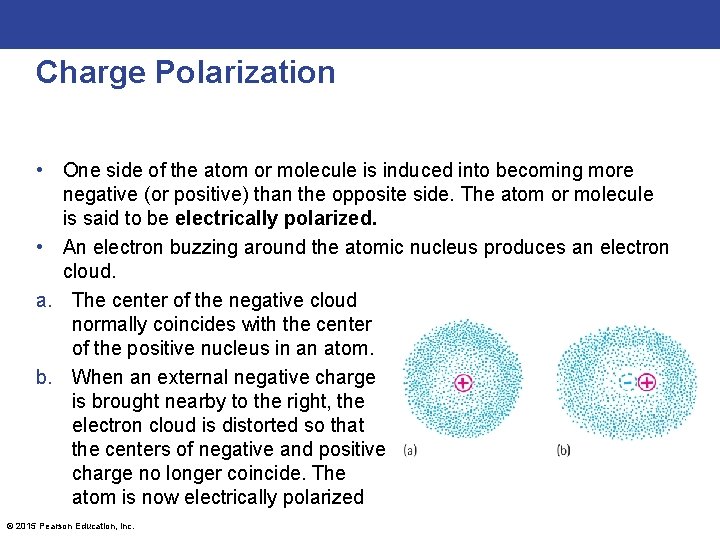 Charge Polarization • One side of the atom or molecule is induced into becoming